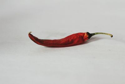 Close-up of red chili peppers over white background