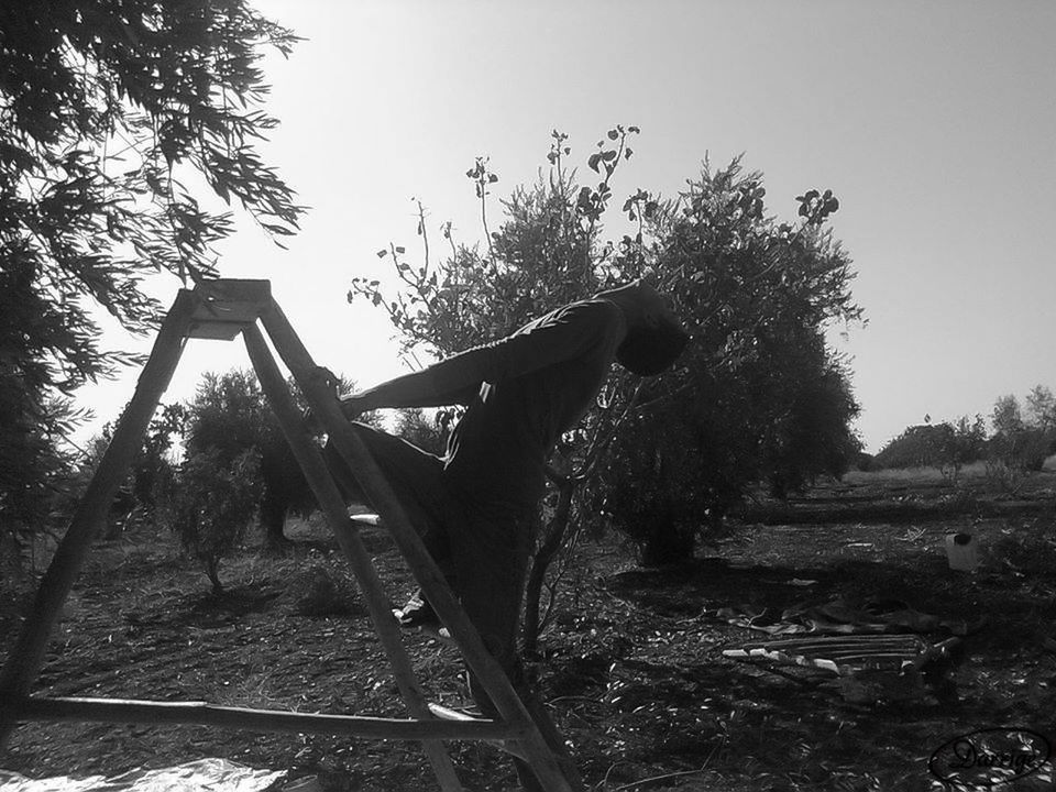 SILHOUETTE OF PLAYGROUND