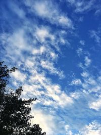 Low angle view of tree against cloudy sky