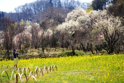 Scenic view of flower field against trees