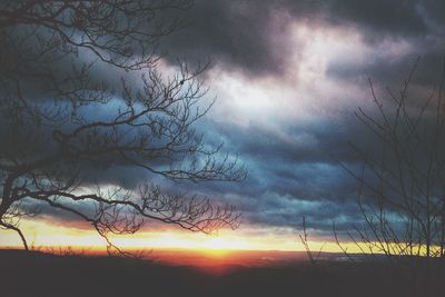 Bare trees on field against cloudy sky