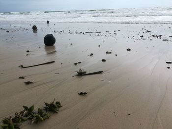 Scenic view of beach against sky