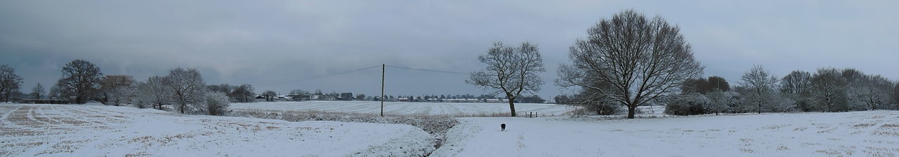 Panoramic view of trees against sky during winter
