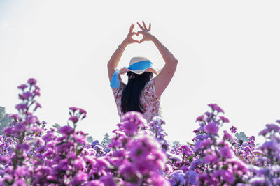 Low angle view of purple flowering plants against sky
