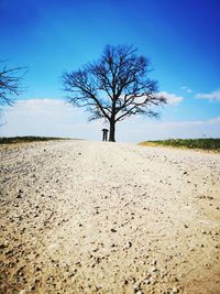 Bare tree on field against sky