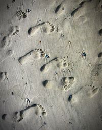 High angle view of footprints on sand