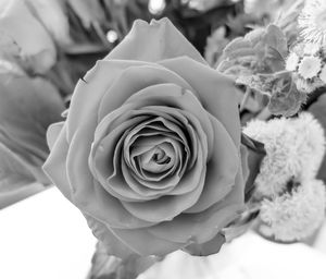 Close-up of rose bouquet