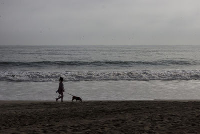 View of horse on beach