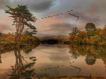 Scenic view of lake by trees against sky