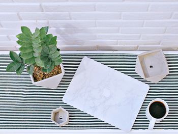 High angle view of potted plant on table