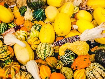 Yellow fruits on pumpkins