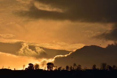 Silhouette trees against dramatic sky during sunset