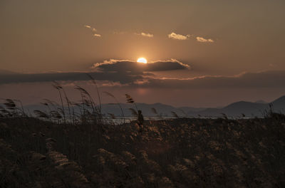 Scenic view of field against sky during sunset