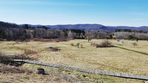 Scenic view of field against sky