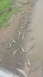 High angle view of text on sand at beach