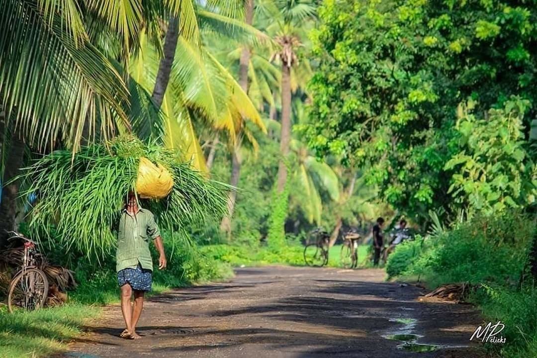 plant, tree, growth, one person, green, jungle, nature, full length, road, forest, day, rainforest, walking, men, rear view, transportation, adult, lifestyles, tropics, the way forward, outdoors, land, beauty in nature, footpath, palm tree, flower, tropical climate, leisure activity, casual clothing, natural environment, hat, women, leaf, sunlight