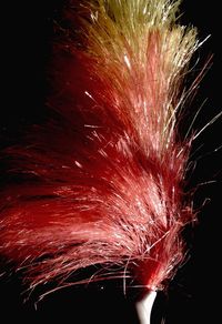 Firework display at night