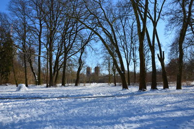 Bare trees on snow field against sky