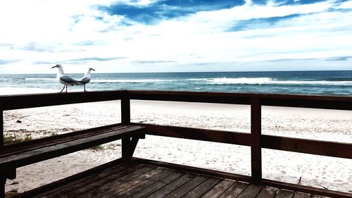 Seagulls on pier at sea