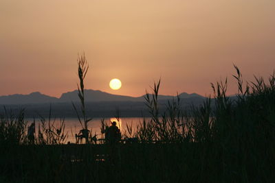 Grass with silhouetted mountains at dusk