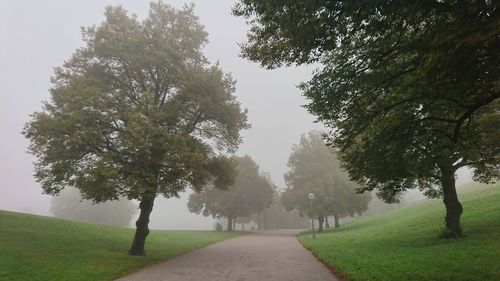 Empty road amidst trees against sky