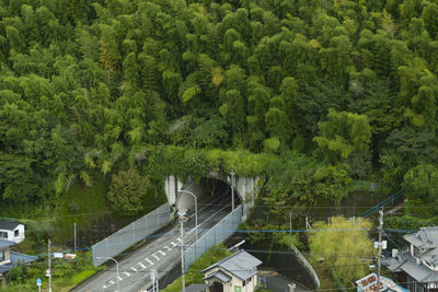 High angle view of bridge amidst trees