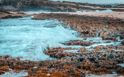 Scenic view of sea shore