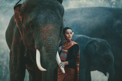 Full length of man standing on elephant