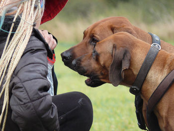 Close-up of person with dogs