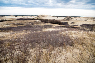 Scenic view of arid landscape against sky