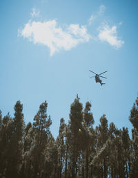 Low angle view of airplane flying in sky