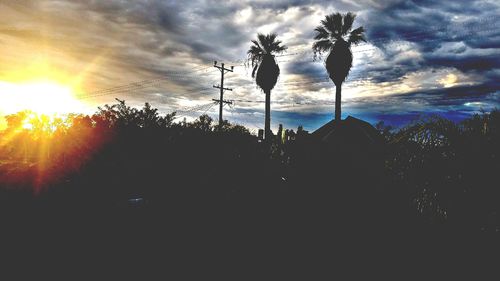 Silhouette trees against sky during sunset