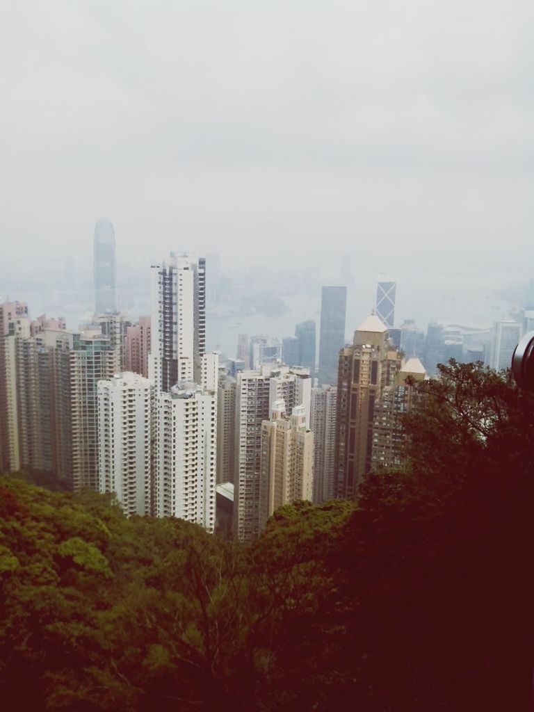 building exterior, skyscraper, city, architecture, built structure, cityscape, tall - high, modern, office building, tower, urban skyline, sky, financial district, crowded, tree, city life, growth, high angle view, building, skyline