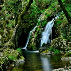 River flowing through rocks in forest