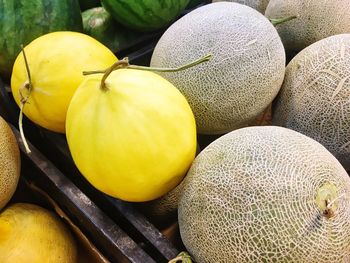 High angle view of melons