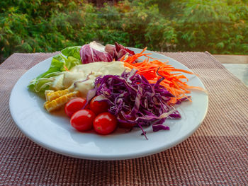 Close-up of salad served in plate