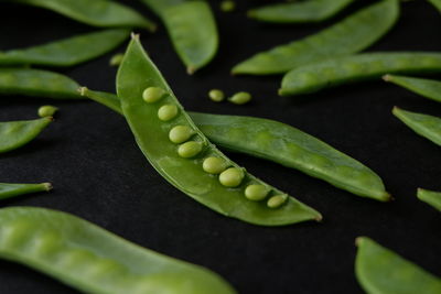 High angle view of green leaf