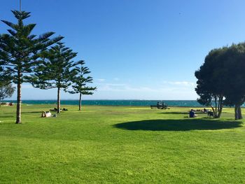 Scenic view of green garden against clear sky