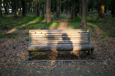 Bench in forest