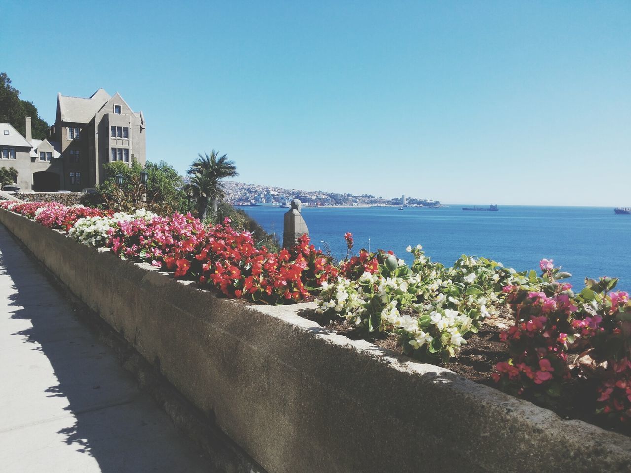 clear sky, flower, water, built structure, architecture, building exterior, plant, copy space, sea, growth, freshness, nature, blue, day, outdoors, beauty in nature, potted plant, no people, transportation, tree