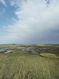 Scenic view of agricultural field against sky zeeland saltwater