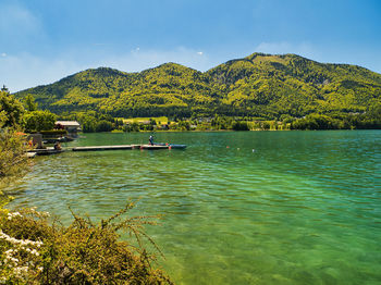 Scenic view of lake by trees against sky