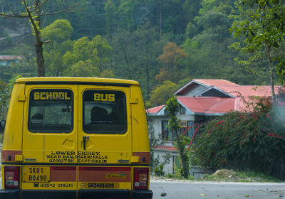 Yellow train by trees