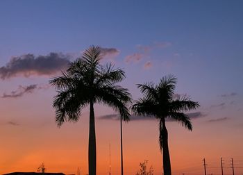 Silhouette palm trees against sky during sunset