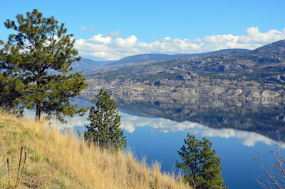 Scenic view of lake and trees against sky