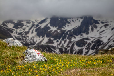 Scenic view of grassy field against mountain