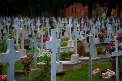 View of cemetery