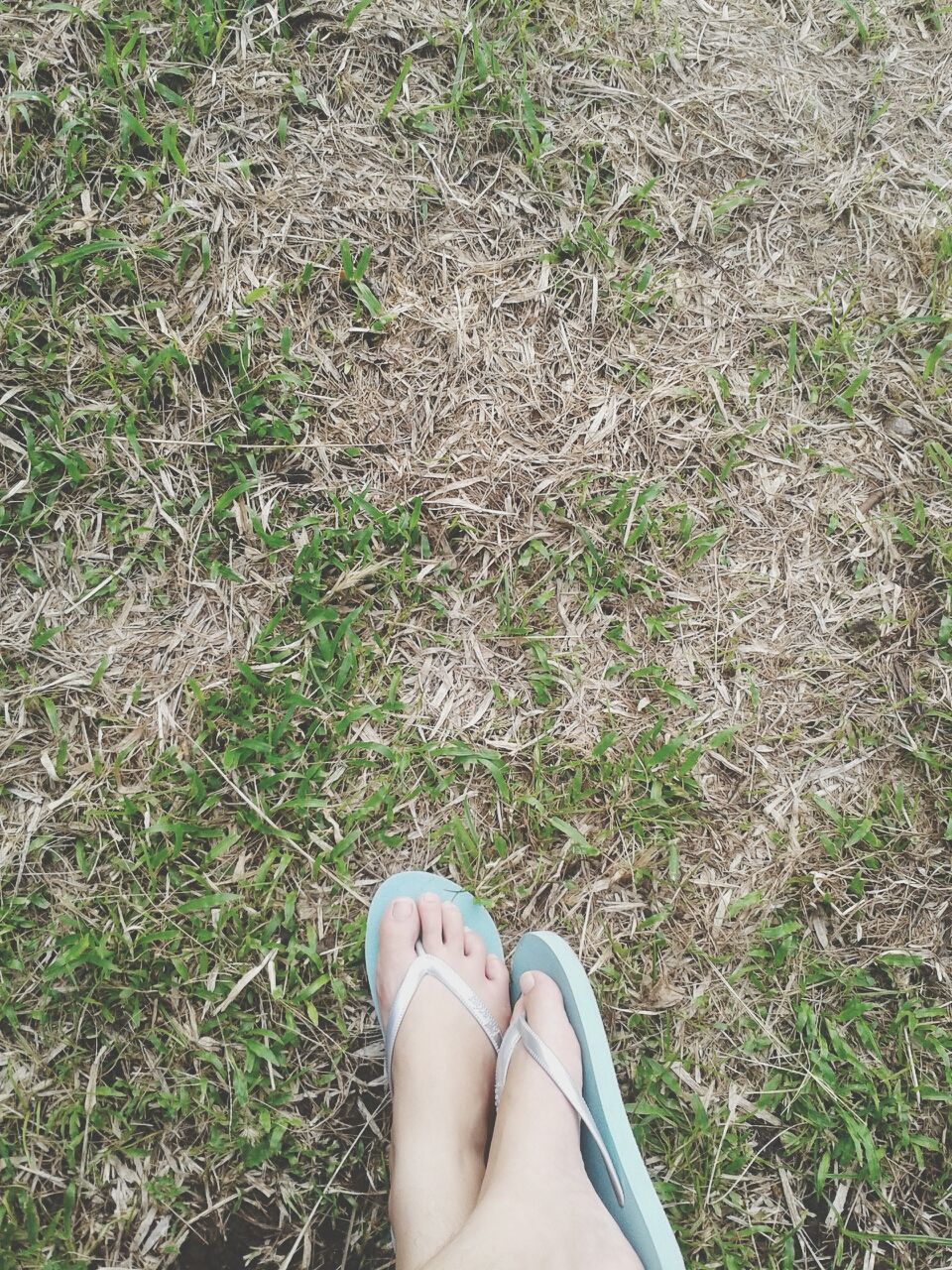 low section, person, personal perspective, human foot, grass, shoe, lifestyles, high angle view, leisure activity, barefoot, standing, field, part of, footwear, relaxation, day