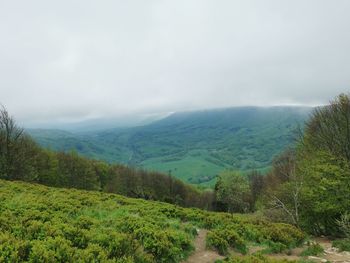 Scenic view of landscape against sky