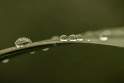 Close-up of water drops on metal